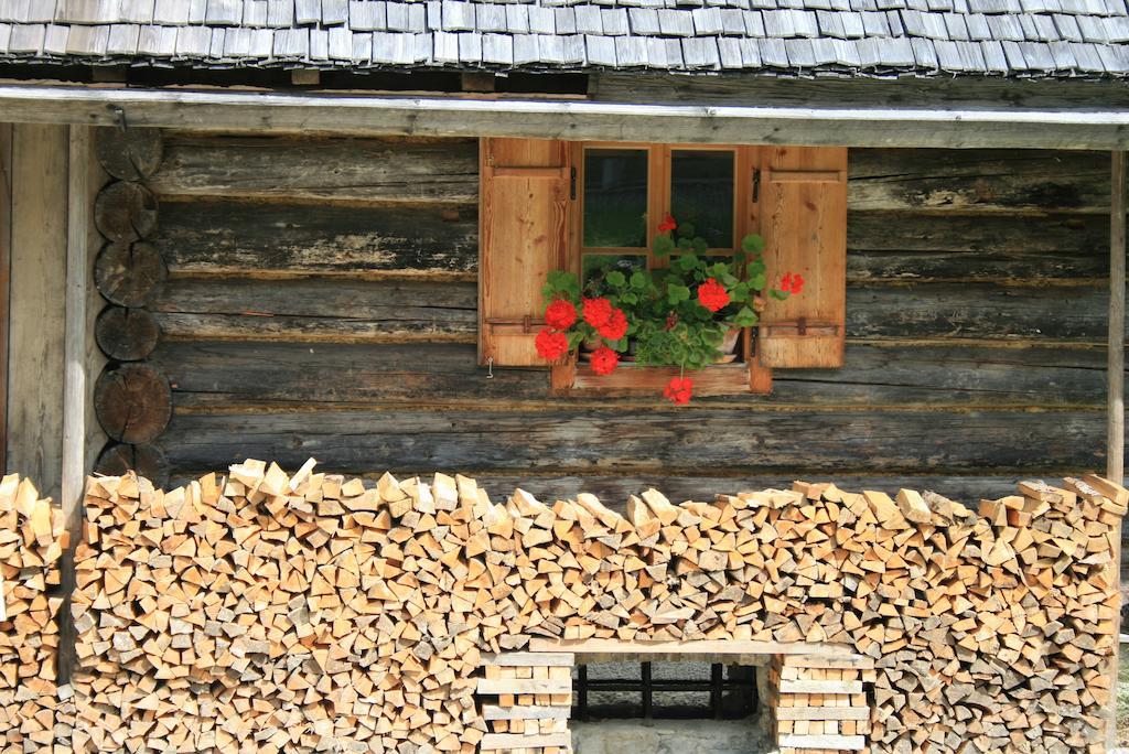 Haus Hepi Obertraun