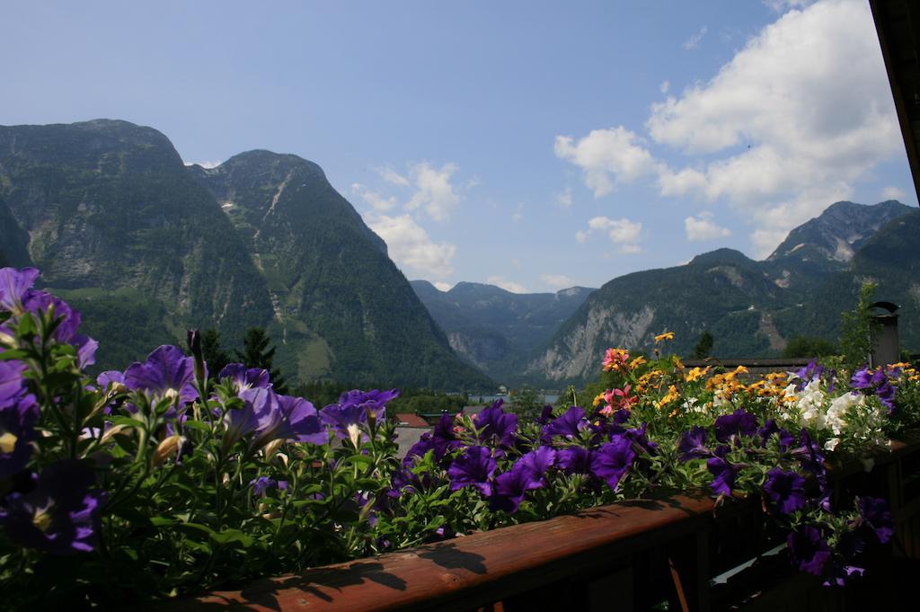 Haus Hepi Obertraun
